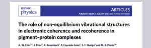The role of non-equilibrium vibrational structures in electronic coherence and recoherence in pigment–protein complexes